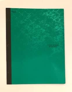 Five Star Active 2 Pocket 3 Hole Punched Green Folder