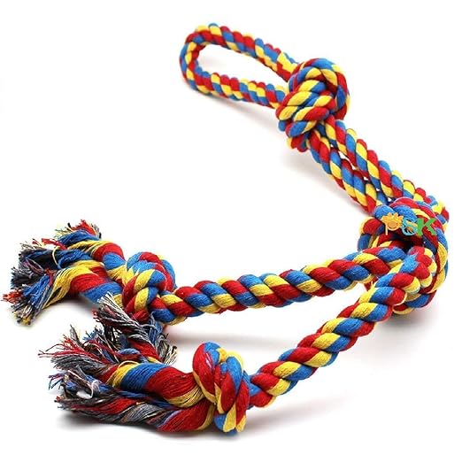 Multicolored ROPE CHEW AND TUG WAR TOY