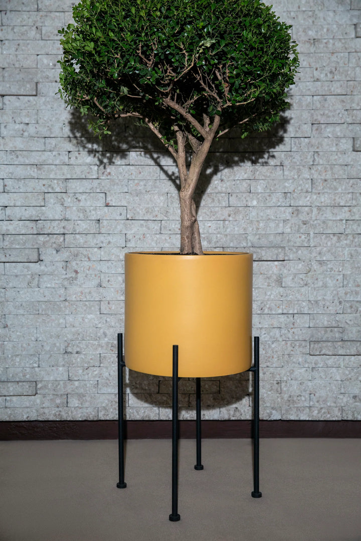 Monstruosus high planter stand. Tall and elegant design, ideal for elevating plants and adding a stylish touch to indoor or outdoor spaces. Perfect for showcasing greenery with a modern, elevated look