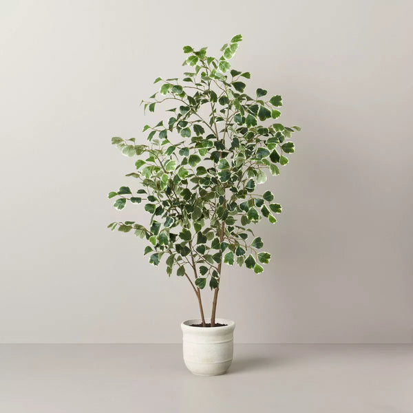 55" Faux Variegated Triangle Ficus Tree - Hearth & Hand™ with Magnolia