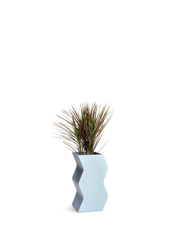 Curvy planter in ash color. Contemporary design with smooth, rounded edges, ideal for adding a touch of sophistication to indoor or outdoor plant displays. Complements various decor styles while providing a stylish planter option.