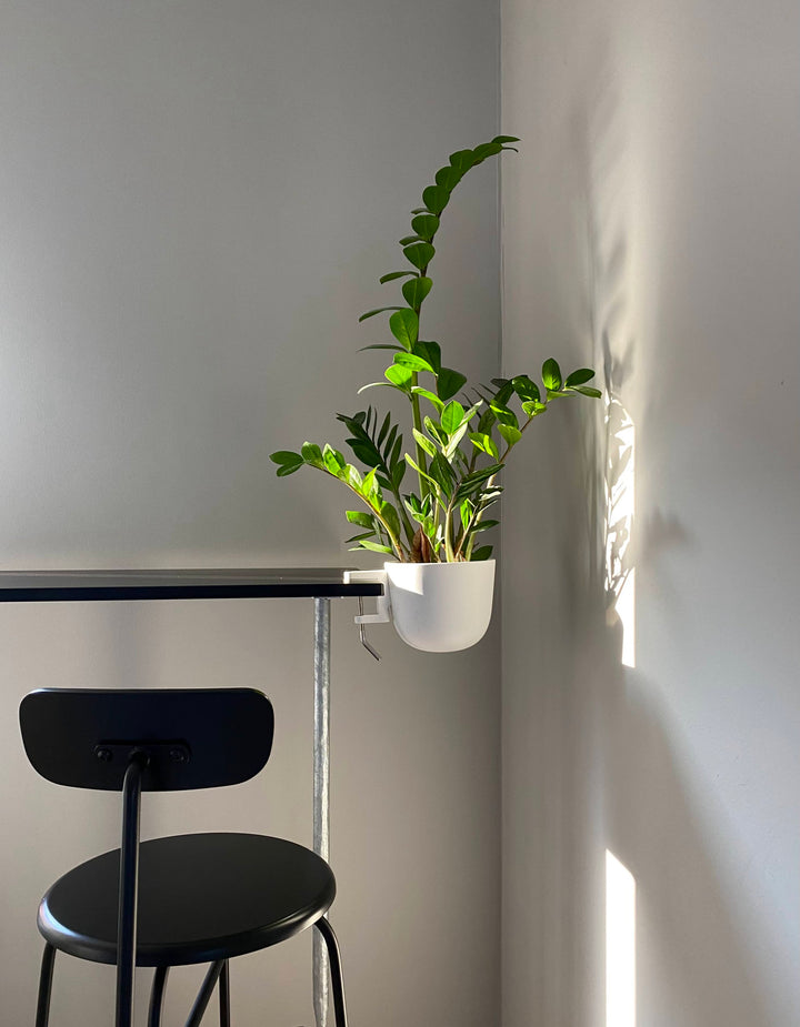 Story planter clamp. Versatile design that allows for secure attachment to various surfaces, ideal for holding small planters and adding greenery to any space. Sleek and modern style for indoor or outdoor use.