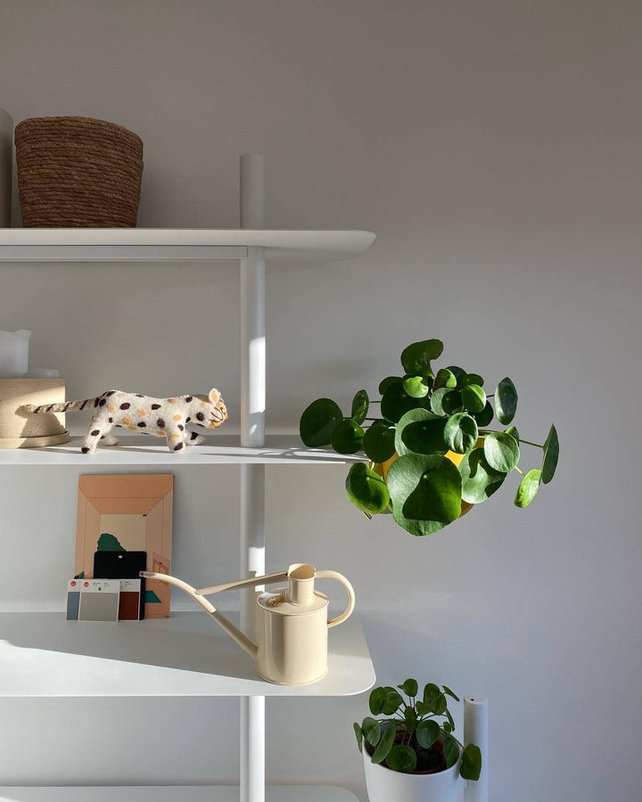 Story planter clamp. Versatile design that allows for secure attachment to various surfaces, ideal for holding small planters and adding greenery to any space. Sleek and modern style for indoor or outdoor use.